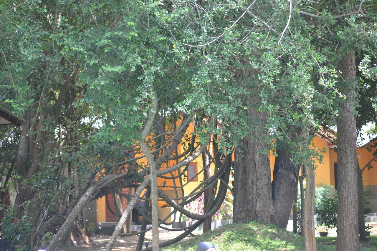 Sigiri Resort Sigiriya Exterior photo